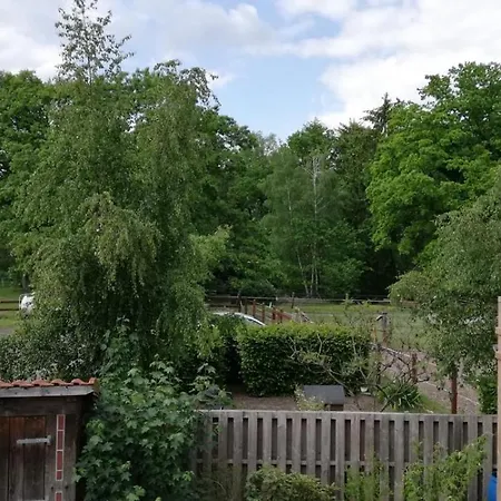 Donna Und Frido Schneverdingen